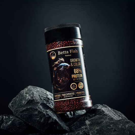 Betta Fish Food - Growth & Color