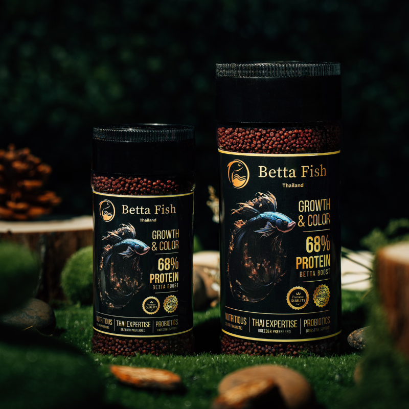 Betta Fish Food - Growth & Color